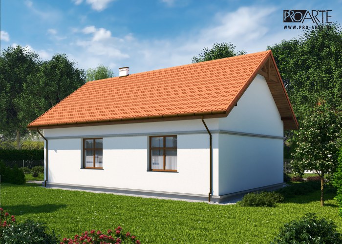 L1 budynek administracji publicznej, kancelaria leśnictwa kocioł gazowy