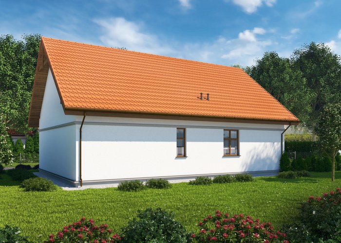 L2 budynek administracji publicznej, kancelaria leśnictwa kocioł gazowy