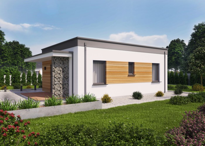 LENS C szkielet drewniany dom mieszkalny, całoroczny