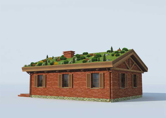 EL PINAR dom z zielonym dachem