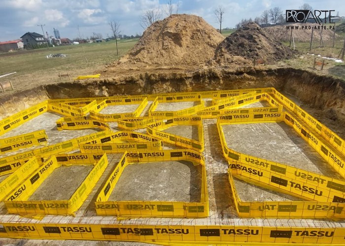Realizacja projektu domu - TRYPOLIS 7 SZKIELET DREWNIANY, zielony
