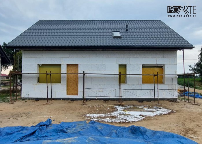 Realizacja projektu domu - TRYPOLIS 7 SZKIELET DREWNIANY, zielony