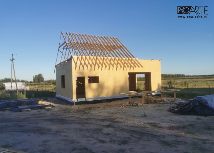 Realizacja projektu domu - TRYPOLIS 2 szkielet drewniany