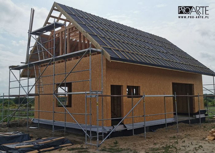 Realizacja projektu domu - TRYPOLIS 2 szkielet drewniany