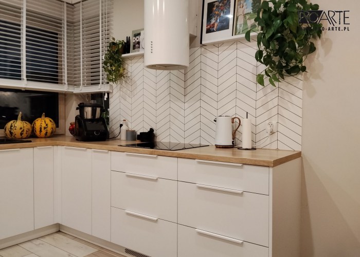 Realizacja projektu domu - TRYPOLIS 2 mur