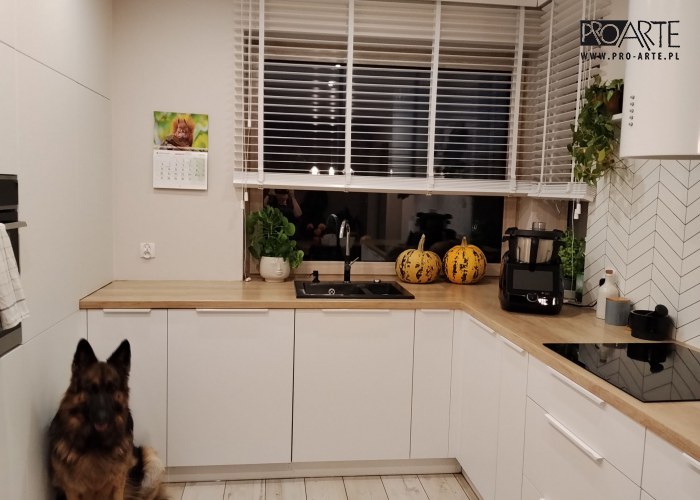 Realizacja projektu domu - TRYPOLIS 2 mur