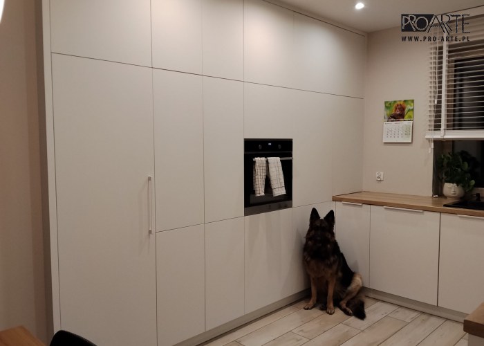 Realizacja projektu domu - TRYPOLIS 2 mur