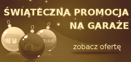 Świąteczna promocja